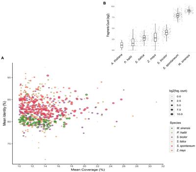 Taxonomically Restricted Genes Are Associated With Responses to Biotic and Abiotic Stresses in Sugarcane (Saccharum spp.)